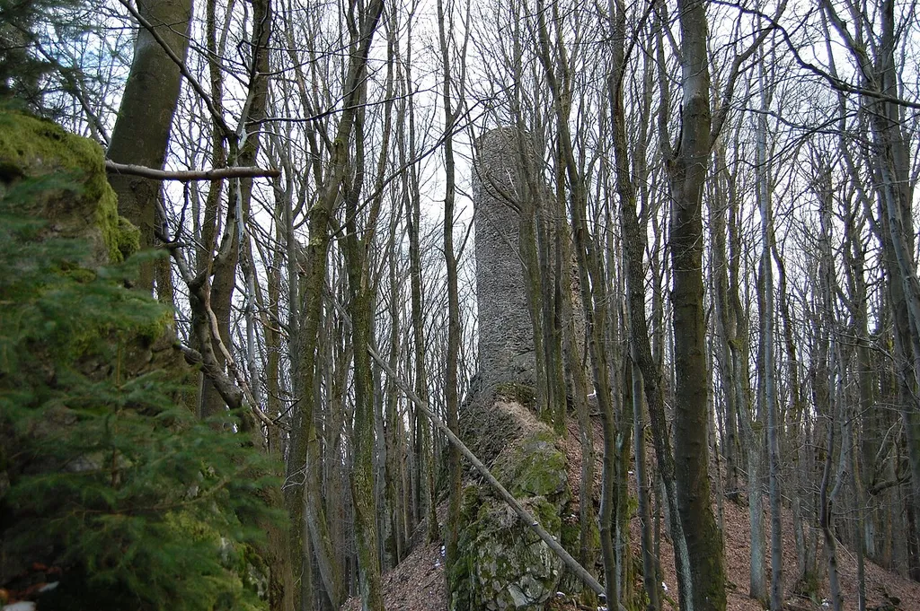 Burganlage Reichenstein bei Stadlern, Landkreis Schwandorf, Oberpfalz (2011)