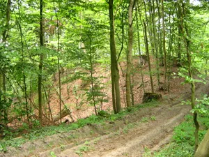 Lieper Burg