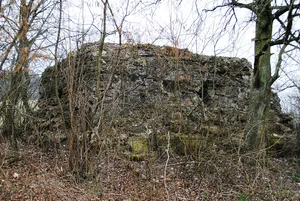Burgruine