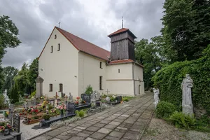 Saint Luke church in Ruja