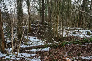 Burgrest Baumgarten