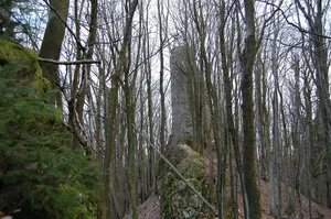 Burgruine Reichenstein