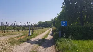 Belgium-Netherlands boundary stone no. 29