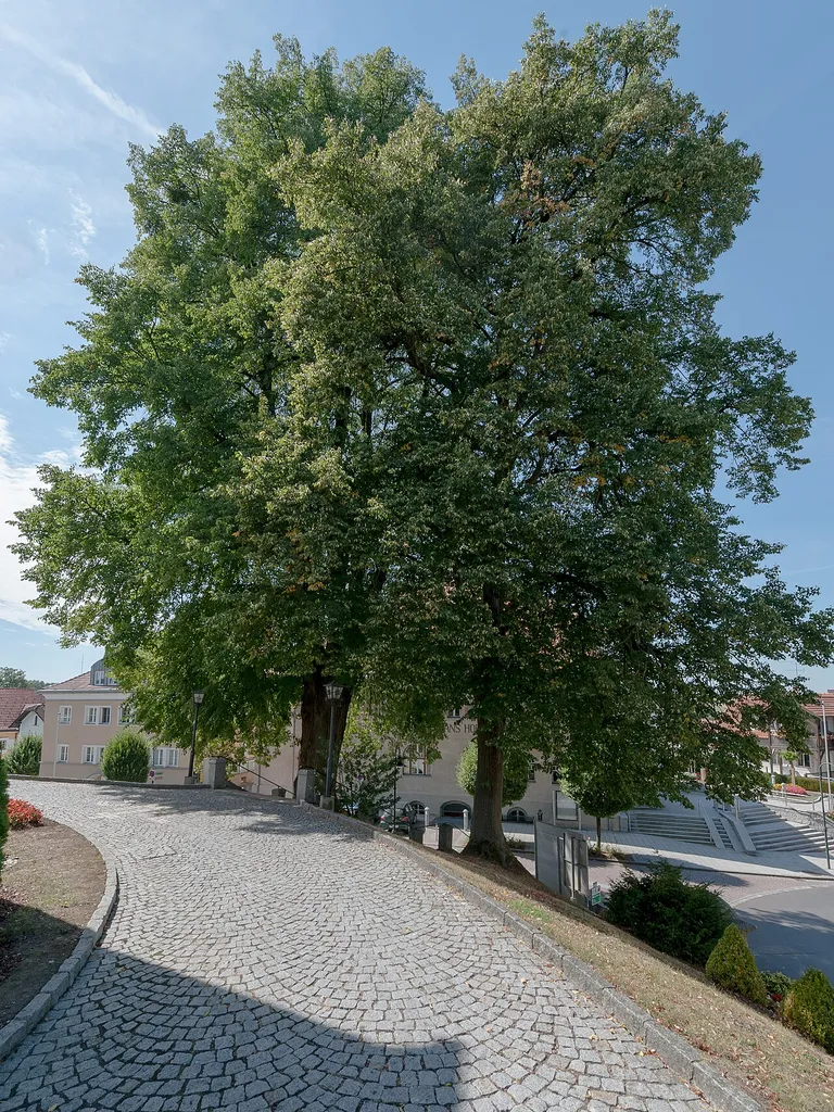 This media shows the natural monument in Upper Austria with the ID nd430.