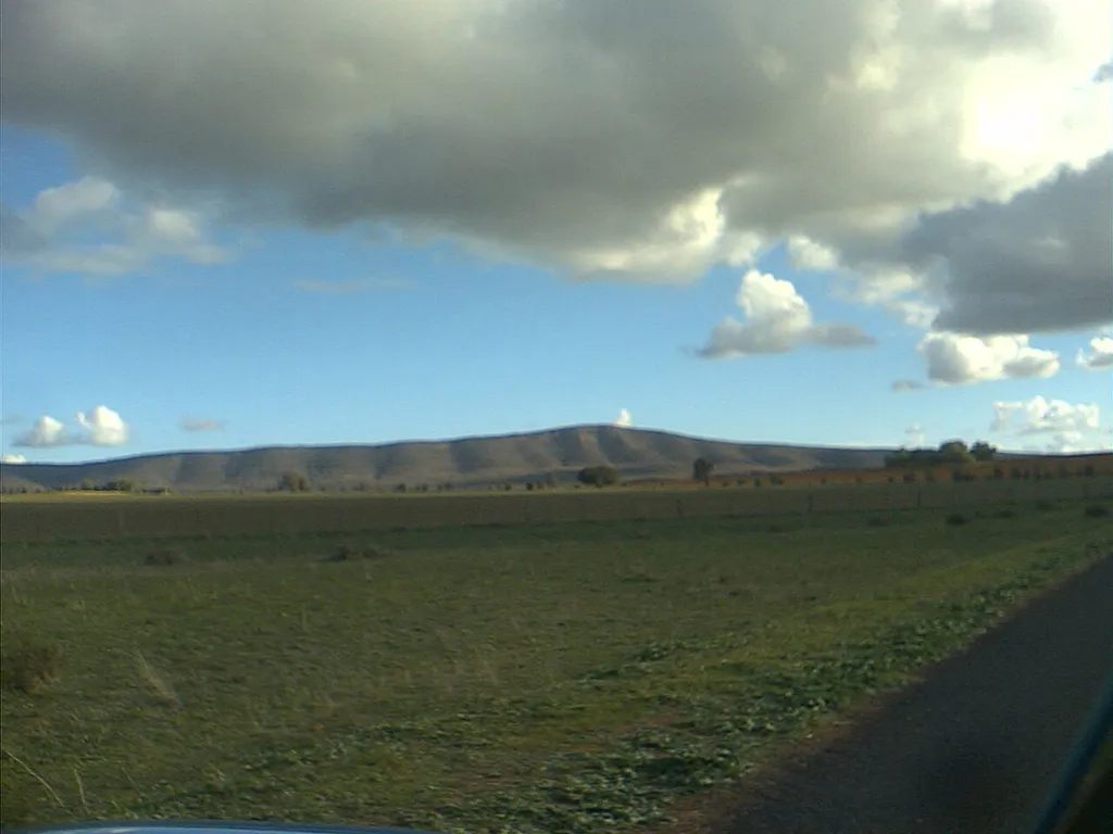 Weddin Mountains National Park from Eualdrie Road Looking South.
