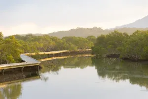 Urunga