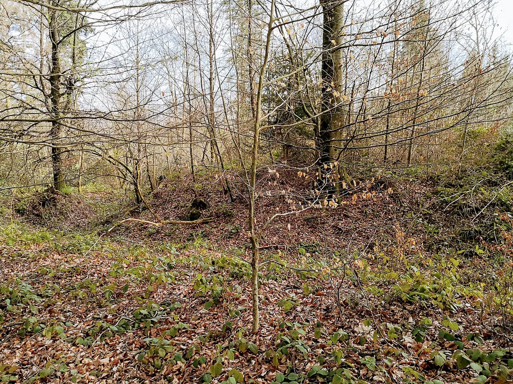 This is an image of a cultural property of regional significance in Switzerland with KGS number