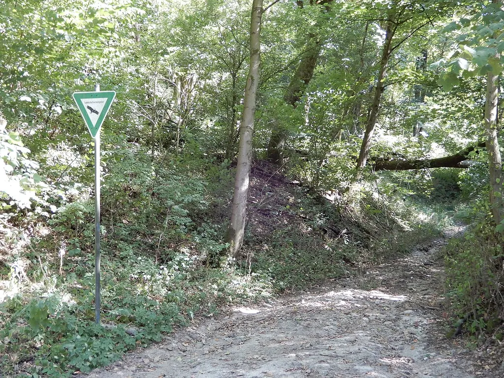 Naturdenkmal Gipsfelsen an der Pipinsburg