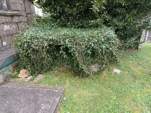 Trefusis Chest Tomb About 1.5 Metres East Of North Aisle Of Church Of St Constantine