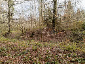 lower and upper Heidenburg, Roman earth forts