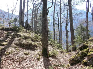 Frauenstein