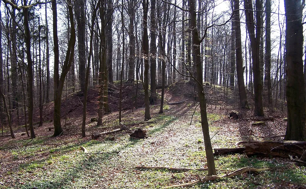 Hohe Burg, frühslawischer Burgwall westlich von Schlemmin (Gemeinde Bernitt).