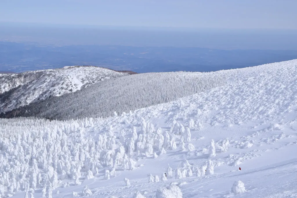 Yamagata