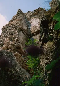 Pusztapalota-várrom, Várpalota