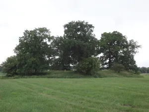 Wallburg Kleiner Eschhorst