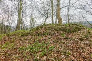 Burg Schildberg