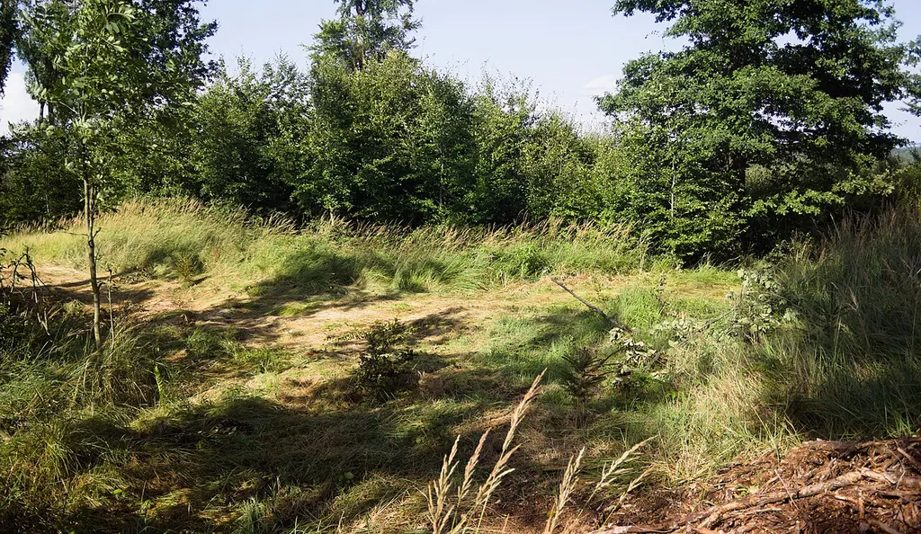 Miejsce dawnego grodziska Pirszyn w sąsiedztwie miejscowości Gradówek