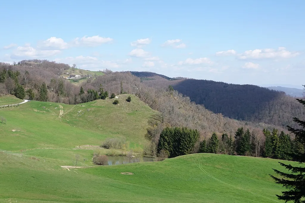 Castle hill of Tvarog Castle