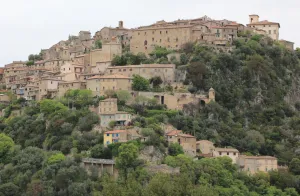 Calvi dell'Umbria