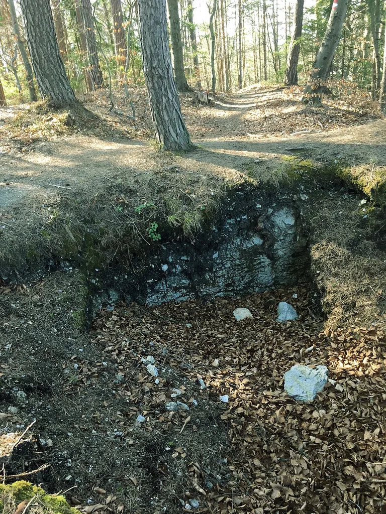 Urgeschichtliche Höhensiedlung und mittelalterliche Burgruine am Wauberg