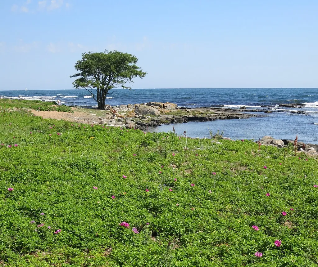 Naturreservata