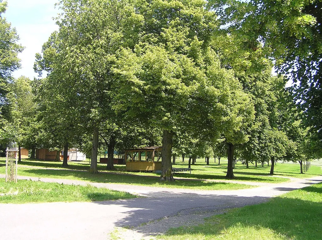 Marktgelände des Alteburger Marktes (außerhalb der Marktzeit). Früher lag hier das Kastell Alteburg