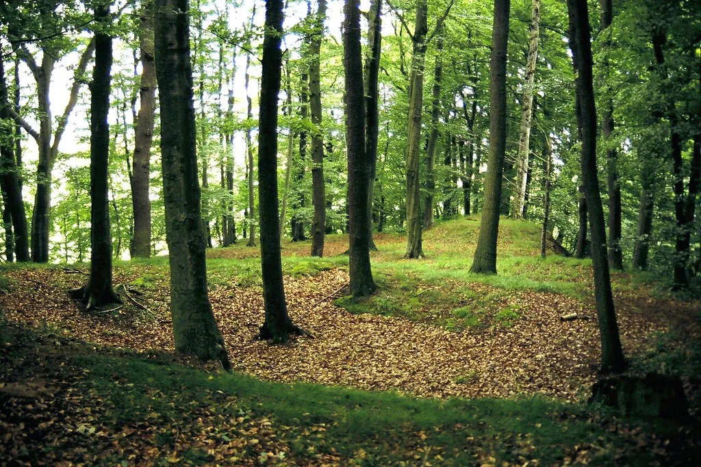 Nördlicher Teil (Hauptburg) der Burgruine Bodenhausen bei Ballenhausen, Gemeinde Friedland, Niedersachsen. Blick vom Ruinenhügel des Bergfrieds nach Norden. Bodenhausen war Stammsitz der Familie von Bodenhausen, 1396 in einer Fehde durch die Stadt Göttingen zerstört, mehrfache Aufbauversuche und Wiederzerstörung. Scan vom Dia