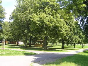 18 Linden an der Alteburg