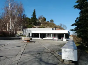 Kino Luna