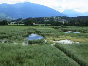 Benkner-, Burger- und Kaltbrunner Riet