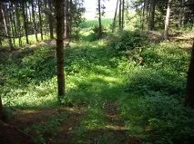 Burgstall Nößlbach heute