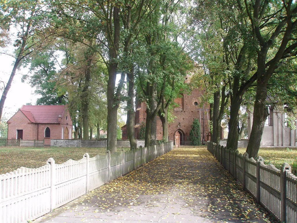 Aleja od strony zachodniej do kościoła w Kalinowej, gm. Błaszki, pow.sieradzki