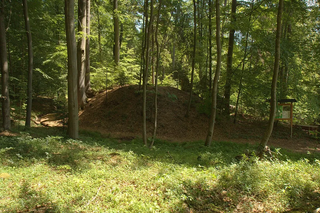 Burgstall Hohenbrunnen - Ansicht des Burgstalls aus westlicher Richtung