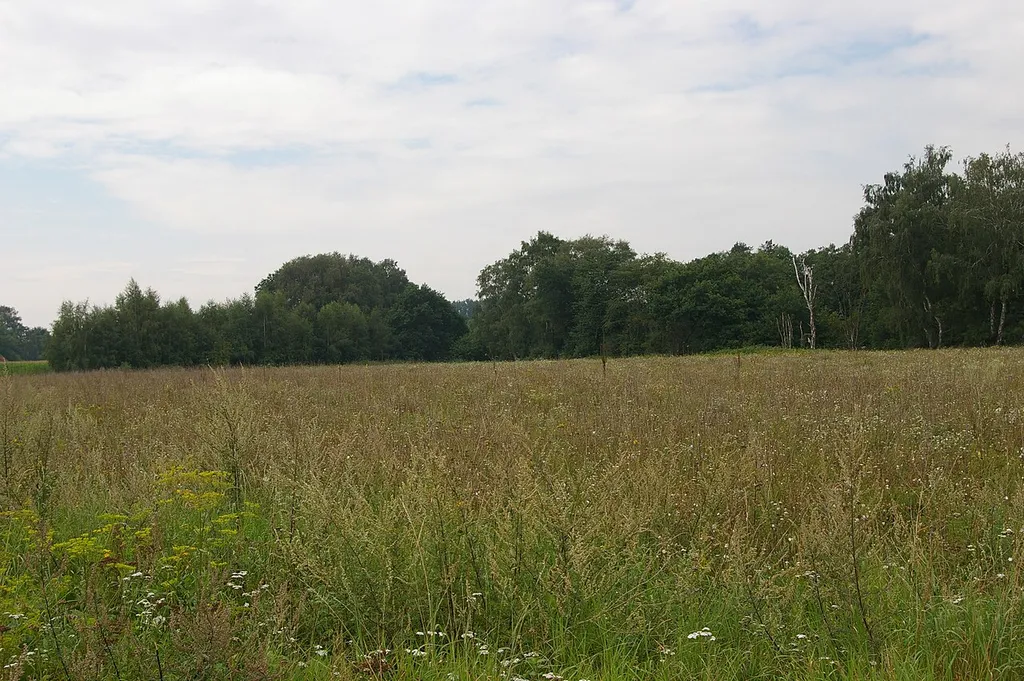 Schmiedebruch
