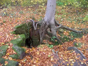 Remains of the church in Houska