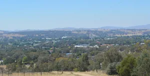 Cootamundra