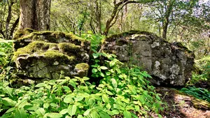 Wingershäuser Schweiz