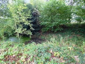Moated site 140m east of St Mary's Church