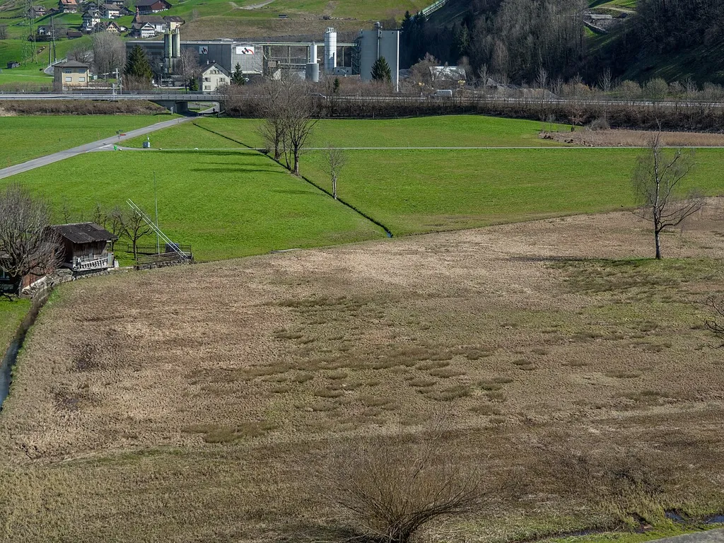 Klosterried Ingenbohl Low Moorland and Amphibian Spawning Area, Ingenbohl, Canton of Schwyz, Switzerland