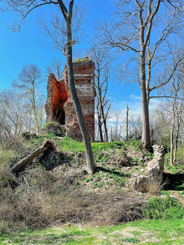 Ruine des Wohnturm des Wasserburg Stuer