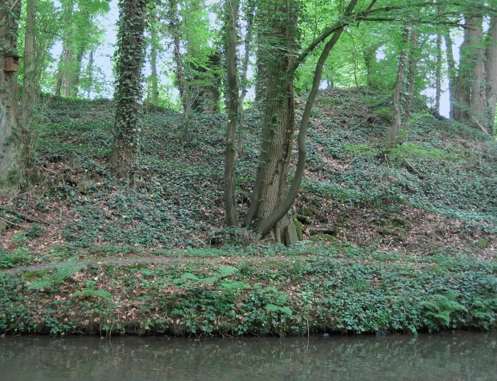 Burgruine Unterheiligenhoven
