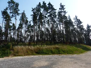 Burgstall Schlossberg