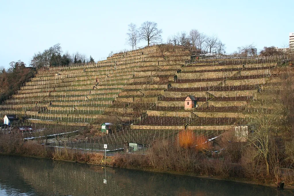 Burgstelle Freienstein vom Max-Eyth-Steg aus gesehen, Stuttgart-Mühlhausen (Freiberg)