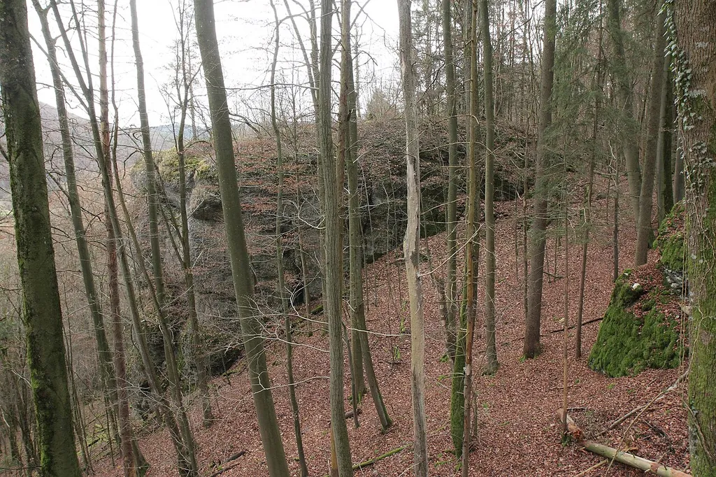 Burgstall Altes Schloss - Burgfelsen aus nordwestlicher Richtung