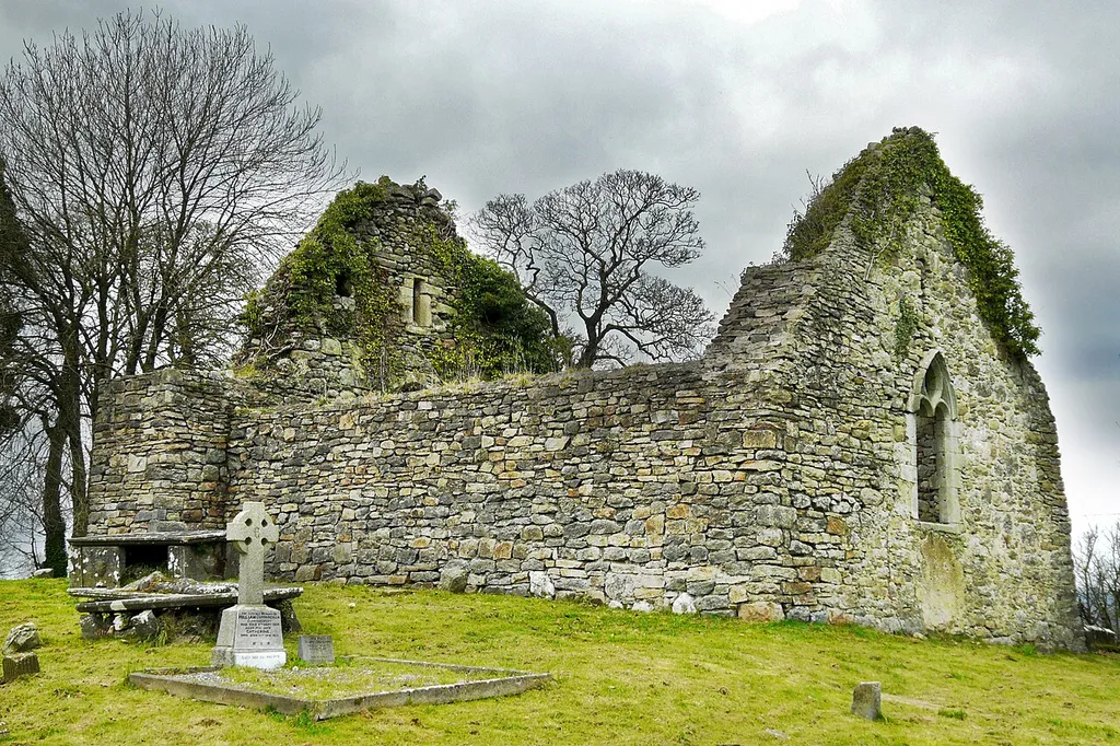 County Laois, Clonenagh.
