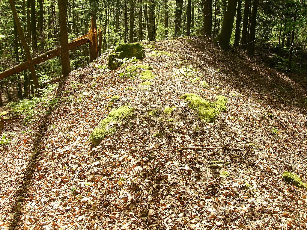 Abschnittsbefestigung Burggraf - Blick auf den Hauptwall, rechts die Burgfläche