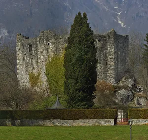 Medieval castle ruins of Forstegg