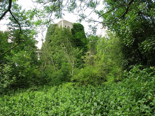 Ivy covered tower of All Saints church in Gillingham