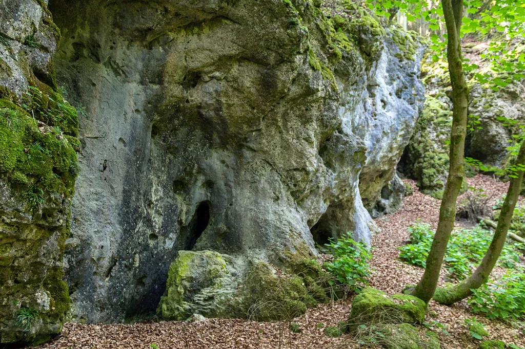 Kirchengrotten von Engelhardsberg, Geotop und Naturdenkmal