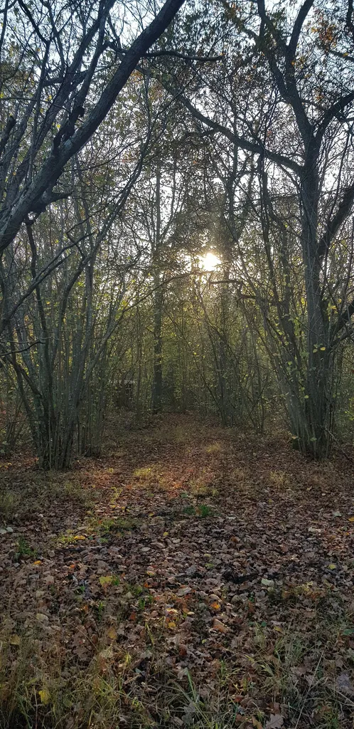 This is a photo of a protected natural area in Sweden with ID: 2002772 .